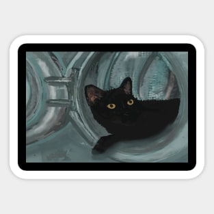 Black Cat Hiding in Washing Machine Sticker